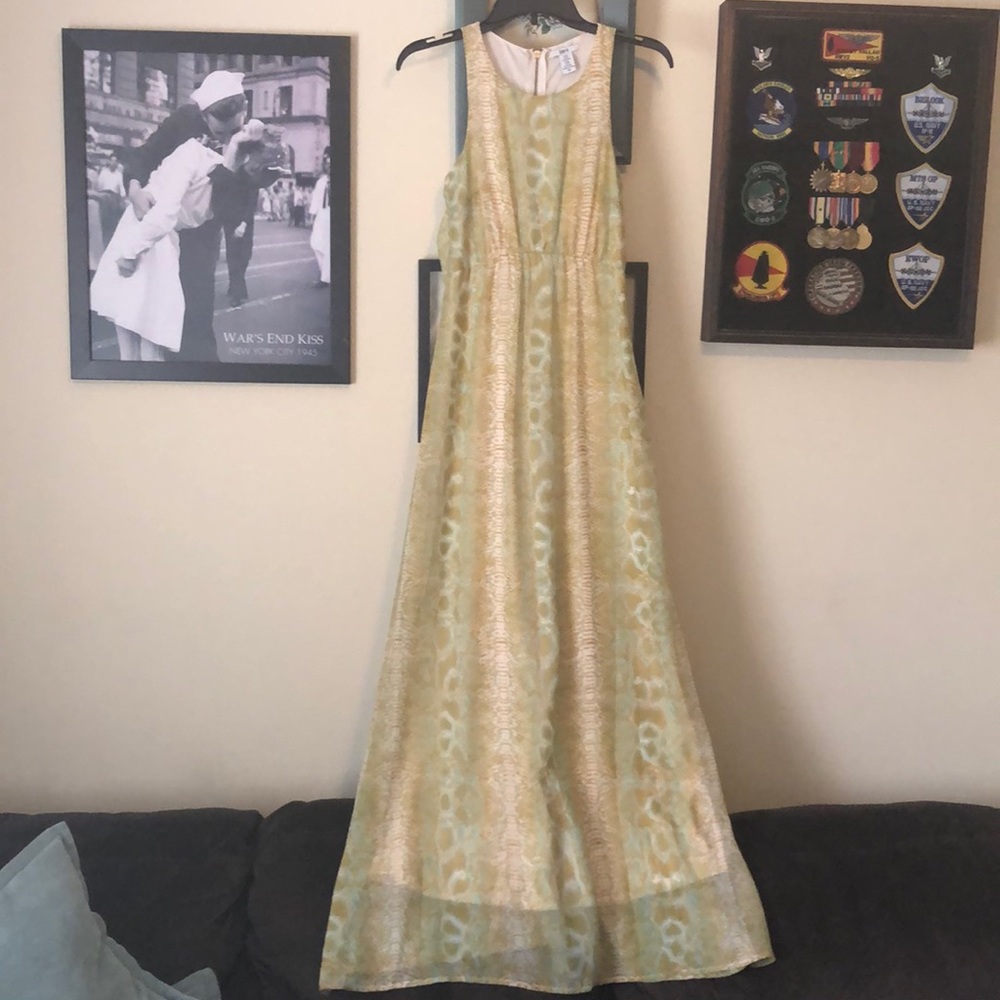 Bar III maxi dress